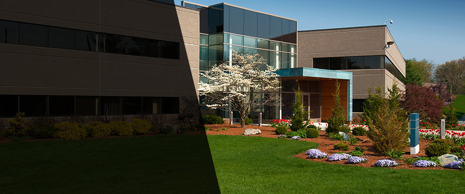 Leonardo Landscapers